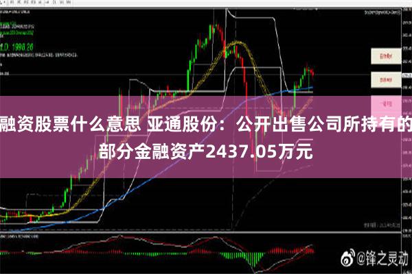 融资股票什么意思 亚通股份：公开出售公司所持有的部分金融资产2437.05万元