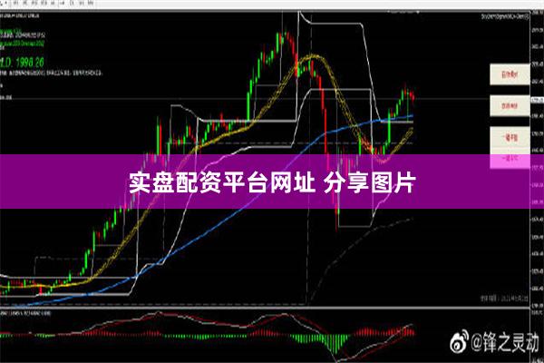 实盘配资平台网址 分享图片