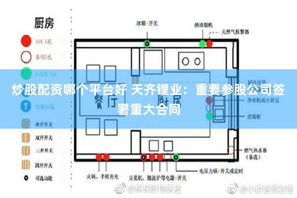 炒股配资哪个平台好 天齐锂业：重要参股公司签署重大合同