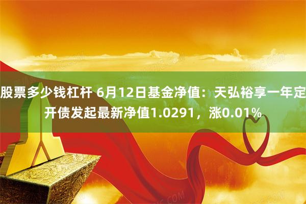 股票多少钱杠杆 6月12日基金净值：天弘裕享一年定开债发起最新净值1.0291，涨0.01%