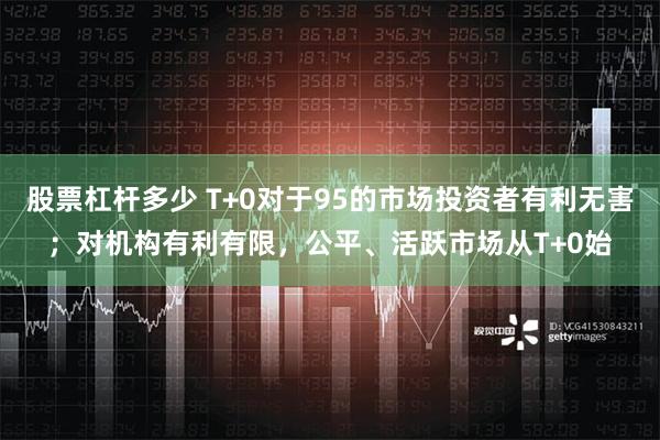 股票杠杆多少 T+0对于95的市场投资者有利无害；对机构有利有限，公平、活跃市场从T+0始