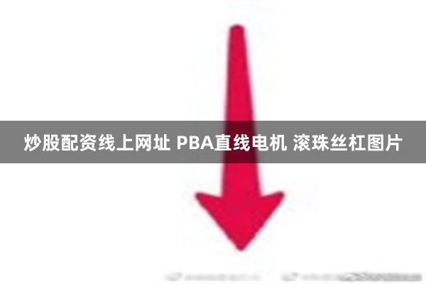 炒股配资线上网址 PBA直线电机 滚珠丝杠图片