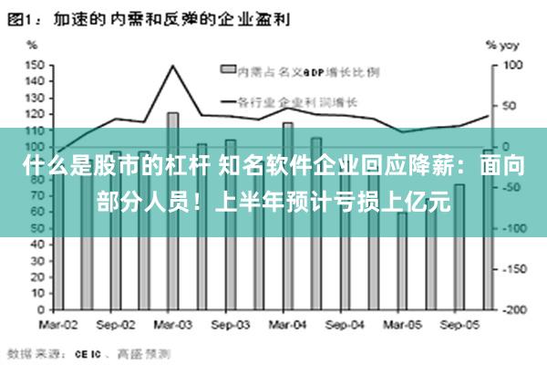 什么是股市的杠杆 知名软件企业回应降薪：面向部分人员！上半年预计亏损上亿元