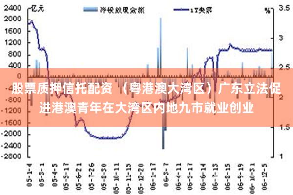 股票质押信托配资 （粤港澳大湾区）广东立法促进港澳青年在大湾区内地九市就业创业