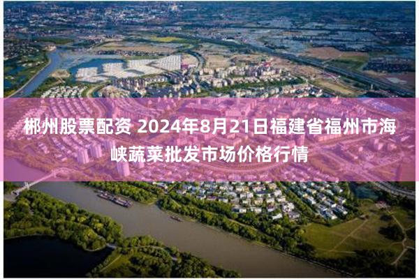 郴州股票配资 2024年8月21日福建省福州市海峡蔬菜批发市场价格行情