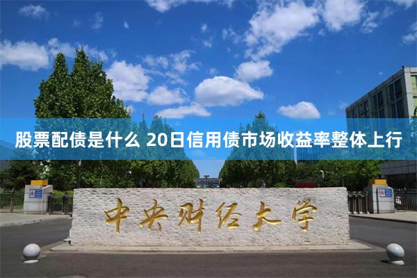 股票配债是什么 20日信用债市场收益率整体上行