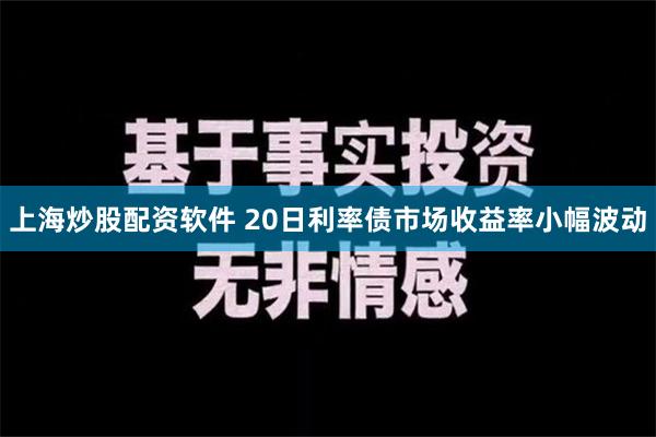 上海炒股配资软件 20日利率债市场收益率小幅波动