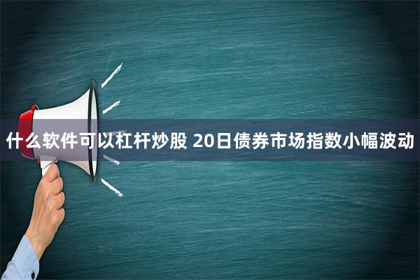 什么软件可以杠杆炒股 20日债券市场指数小幅波动