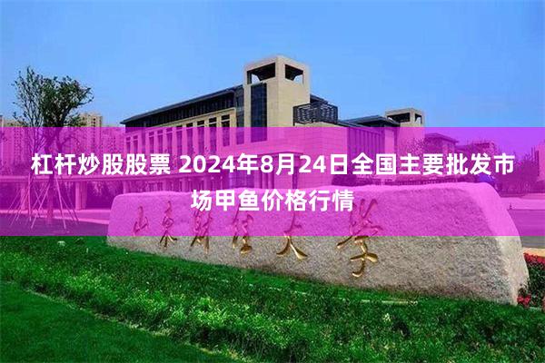 杠杆炒股股票 2024年8月24日全国主要批发市场甲鱼价格行情