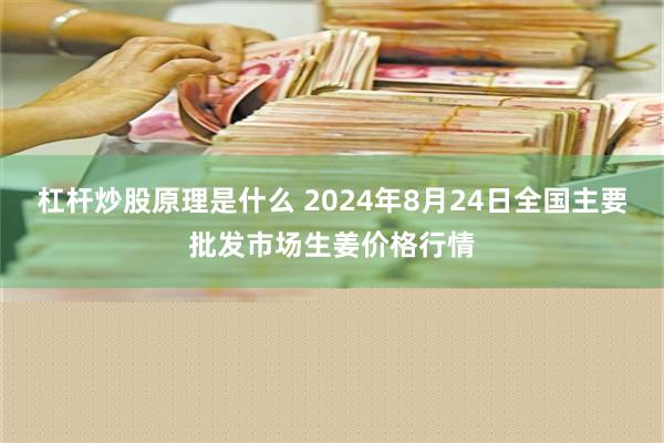 杠杆炒股原理是什么 2024年8月24日全国主要批发市场生姜价格行情