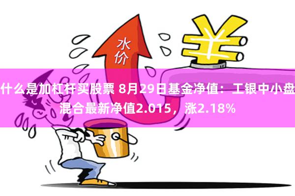 什么是加杠杆买股票 8月29日基金净值：工银中小盘混合最新净值2.015，涨2.18%