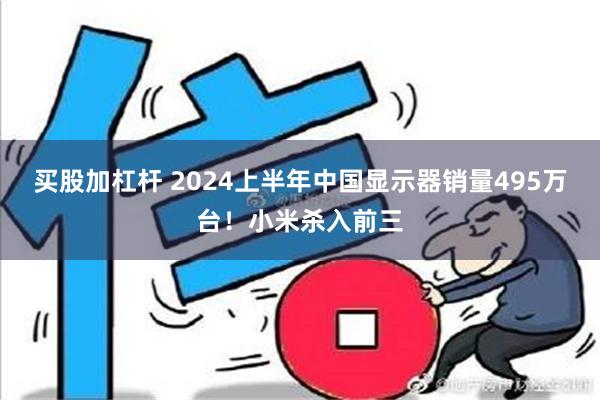 买股加杠杆 2024上半年中国显示器销量495万台！小米杀入前三