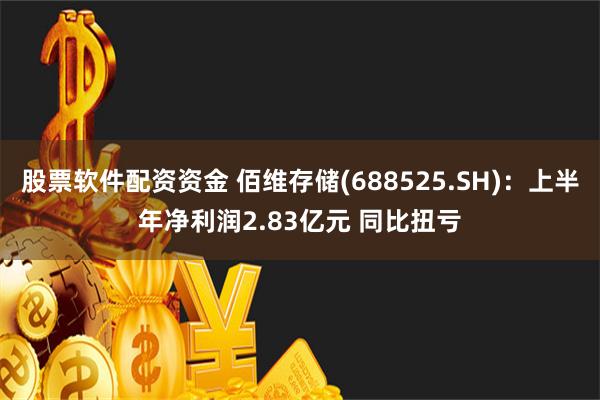 股票软件配资资金 佰维存储(688525.SH)：上半年净利润2.83亿元 同比扭亏