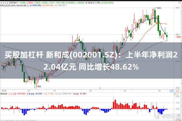 买股加杠杆 新和成(002001.SZ)：上半年净利润22.04亿元 同比增长48.62%