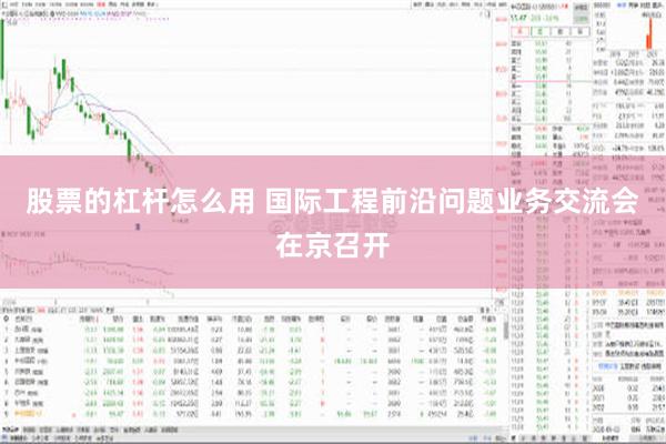 股票的杠杆怎么用 国际工程前沿问题业务交流会在京召开