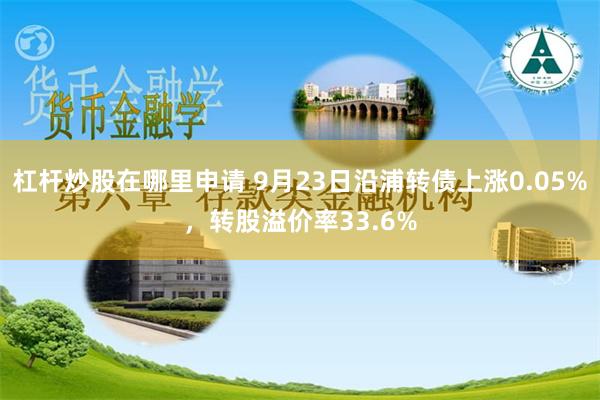 杠杆炒股在哪里申请 9月23日沿浦转债上涨0.05%，转股溢价率33.6%