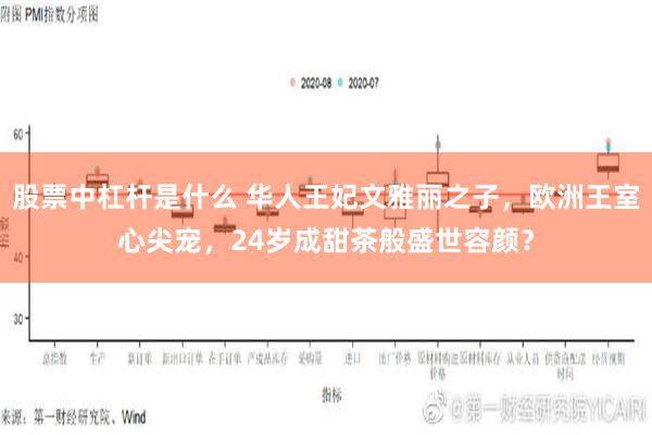 股票中杠杆是什么 华人王妃文雅丽之子，欧洲王室心尖宠，24岁成甜茶般盛世容颜？