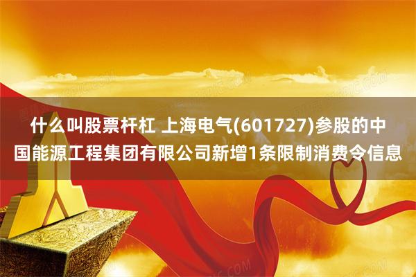 什么叫股票杆杠 上海电气(601727)参股的中国能源工程集团有限公司新增1条限制消费令信息