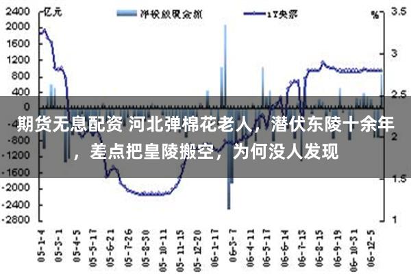 期货无息配资 河北弹棉花老人，潜伏东陵十余年，差点把皇陵搬空，为何没人发现