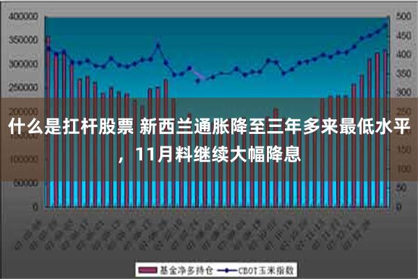 什么是扛杆股票 新西兰通胀降至三年多来最低水平，11月料继续大幅降息