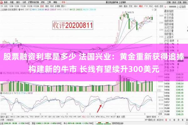 股票融资利率是多少 法国兴业：黄金重新获得追捧构建新的牛市 长线有望续升300美元