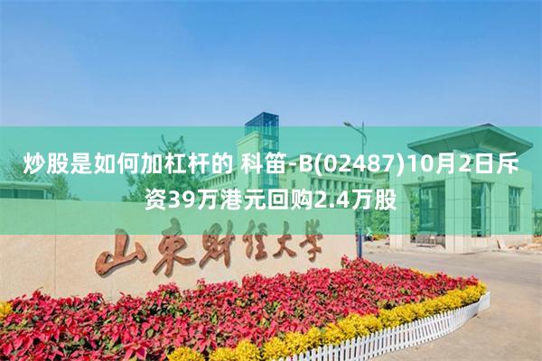 炒股是如何加杠杆的 科笛-B(02487)10月2日斥资39万港元回购2.4万股