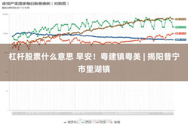 杠杆股票什么意思 早安！粤建镇粤美 | 揭阳普宁市里湖镇