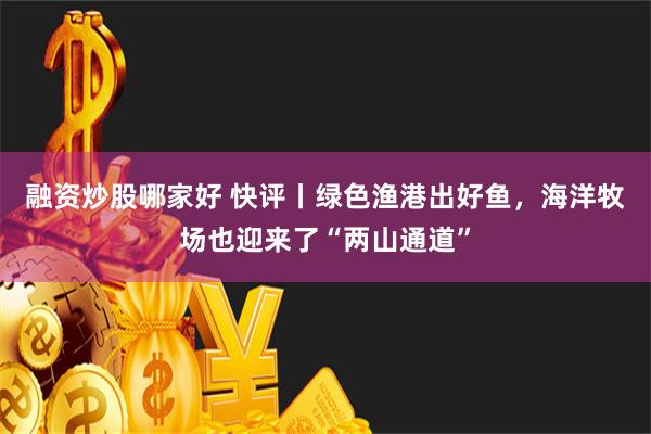 融资炒股哪家好 快评丨绿色渔港出好鱼，海洋牧场也迎来了“两山通道”