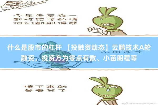 什么是股市的杠杆 【投融资动态】云鹏技术A轮融资，投资方为零点有数、小苗朗程等