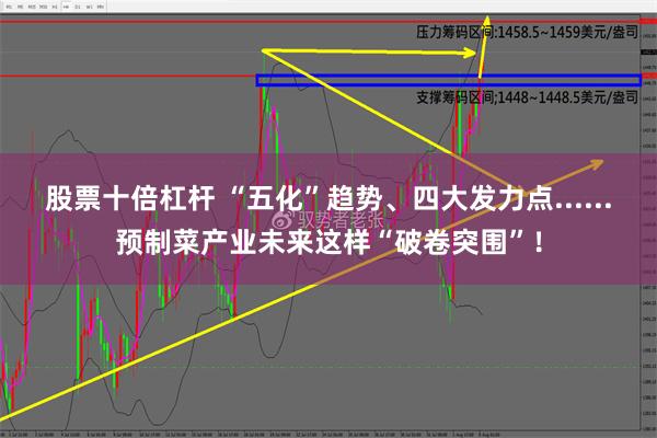 股票十倍杠杆 “五化”趋势、四大发力点......预制菜产业未来这样“破卷突围”！