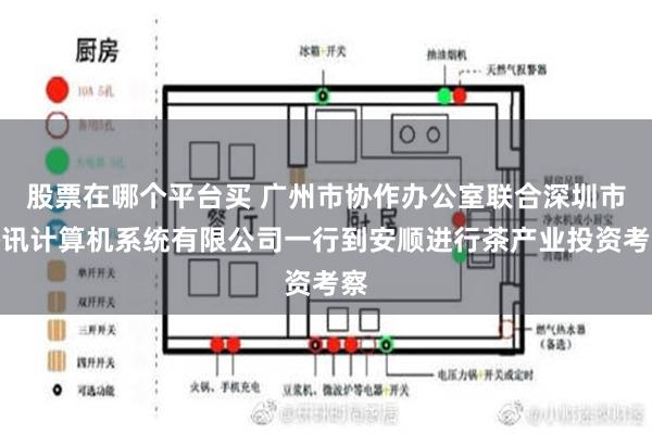 股票在哪个平台买 广州市协作办公室联合深圳市腾讯计算机系统有限公司一行到安顺进行茶产业投资考察