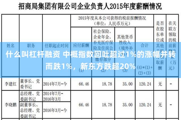 什么叫杠杆融资 中概指数回吐超过1%的涨幅并转而跌1%，新东方跌超20%